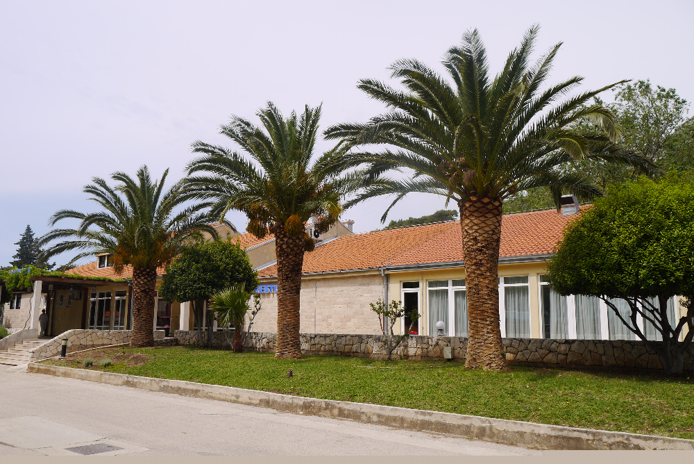 P1130549.JPG