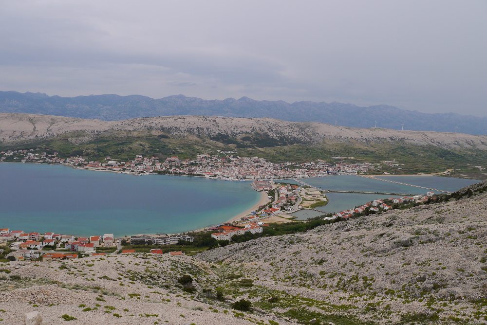 P1130719.JPG