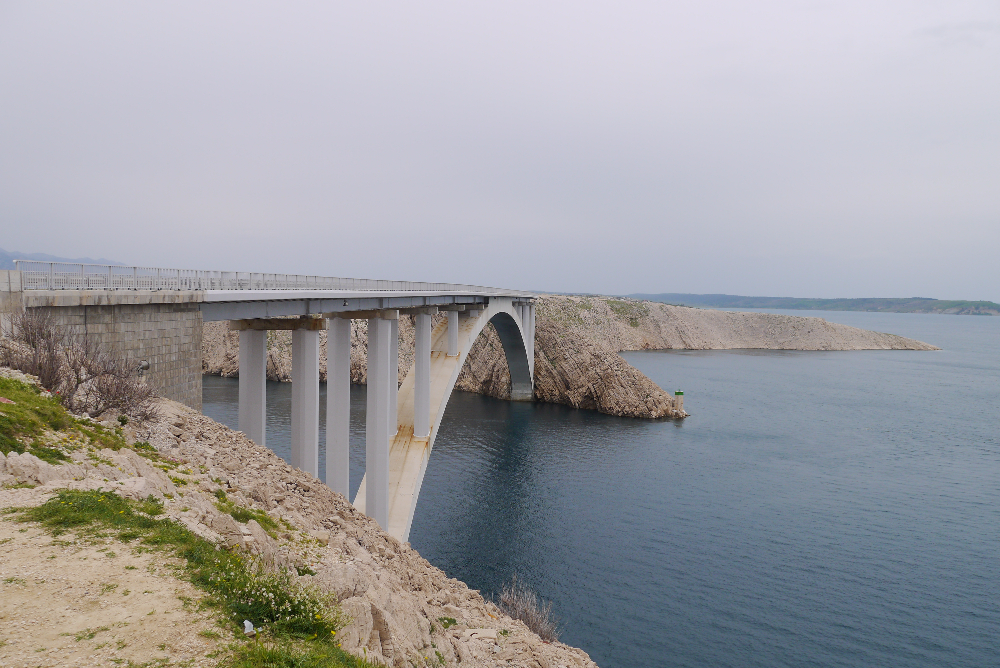 P1130724.JPG
