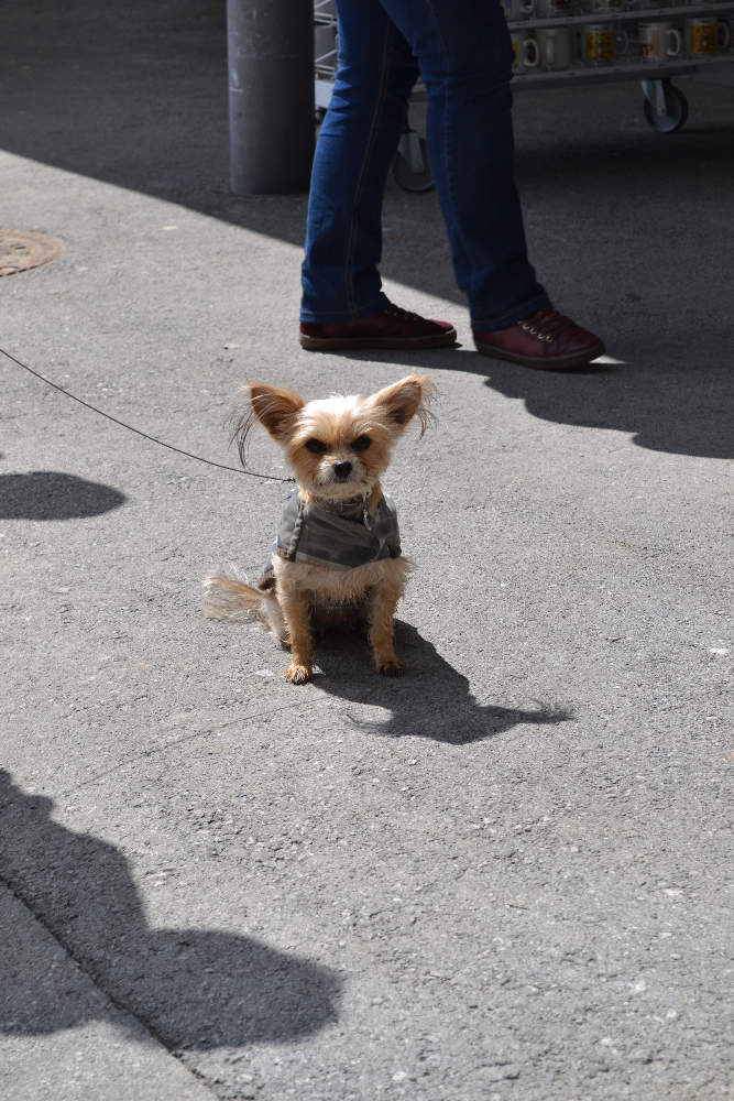 DSC_0657.JPG