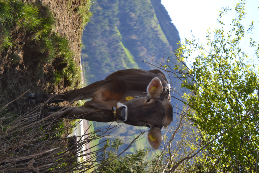 DSC_0390.JPG
