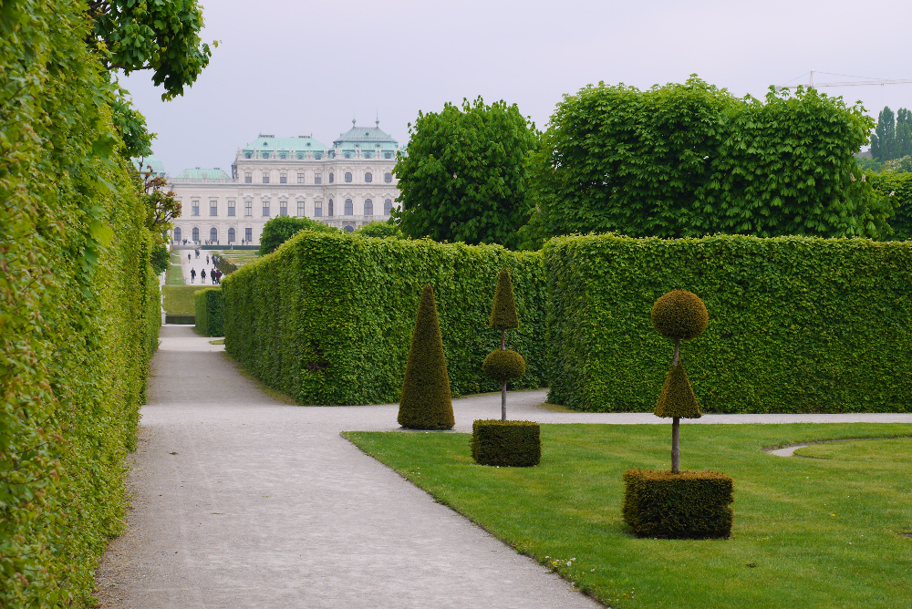 P1120731.JPG