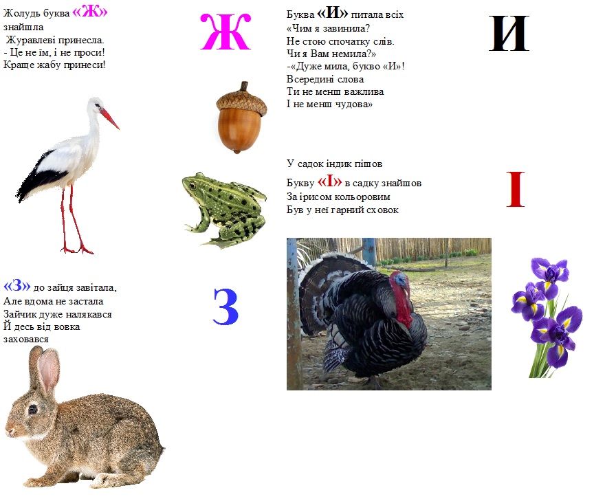 ж-і.jpg