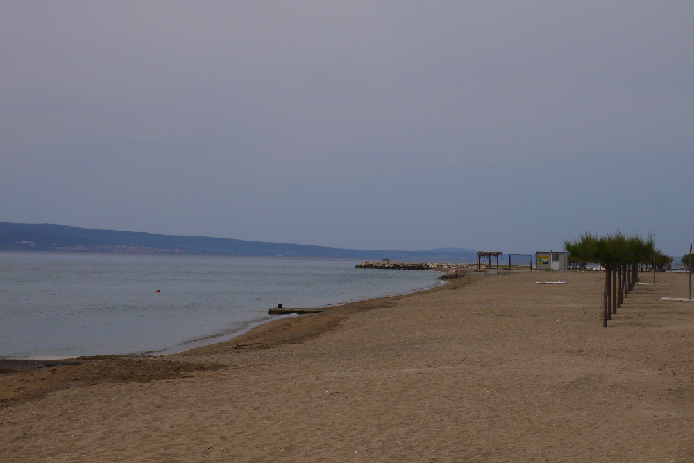 P1130536.JPG
