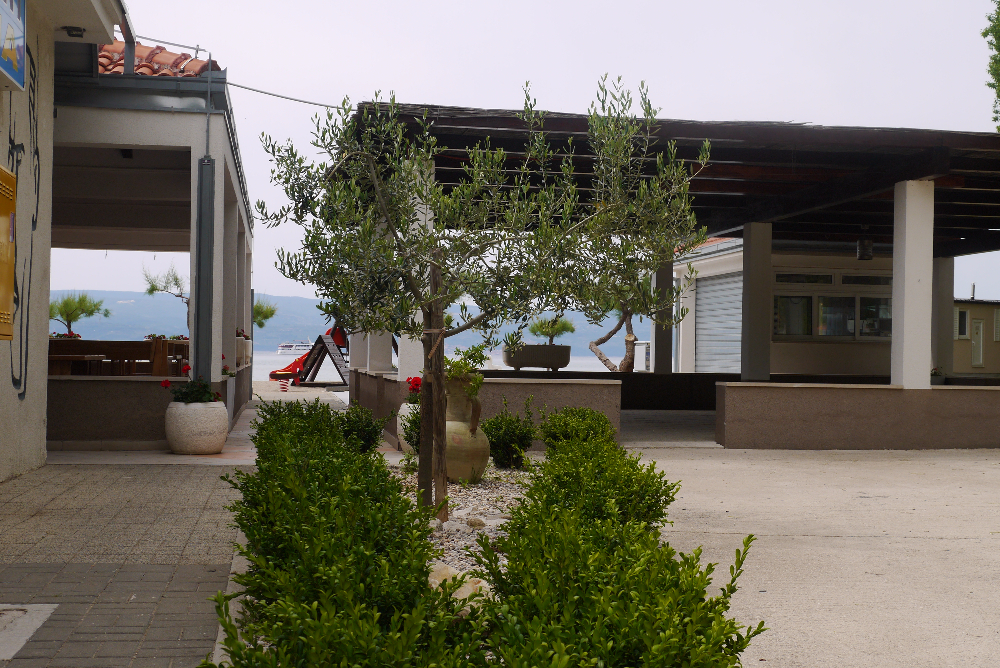 P1130542.JPG