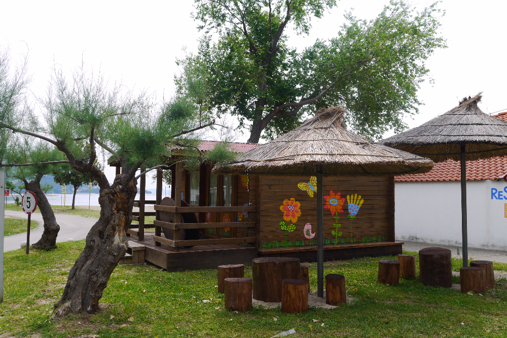 P1130544.JPG