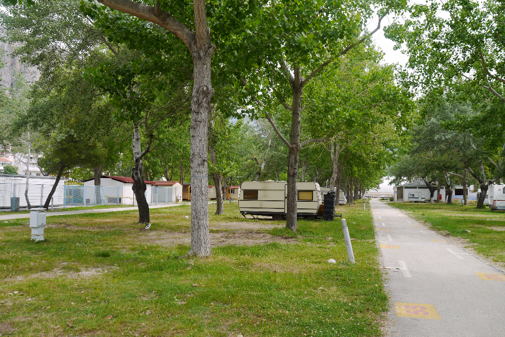 P1130518.JPG