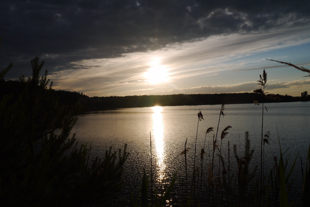 P1130849.JPG