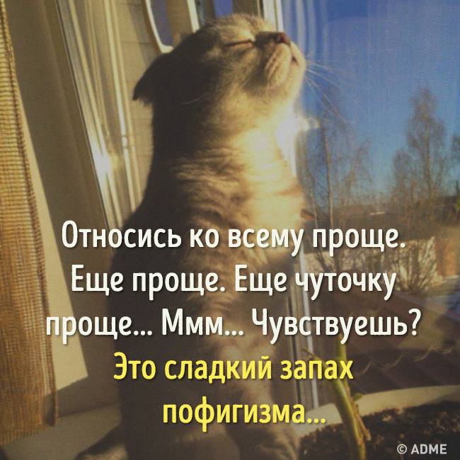 222.jpg