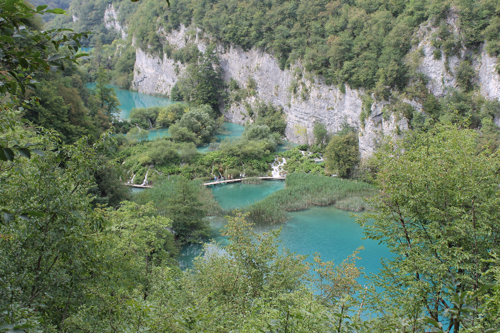 IMG_8479.JPG