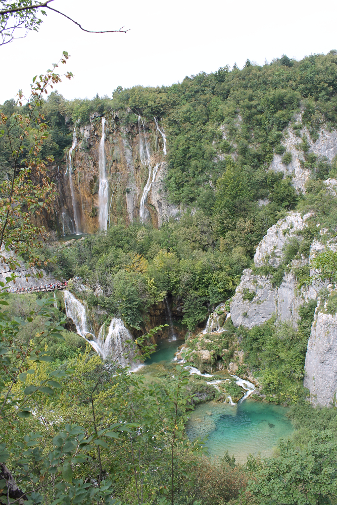 IMG_8494.JPG