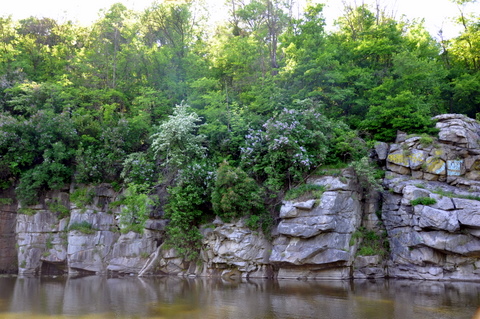 DSC_0035.JPG