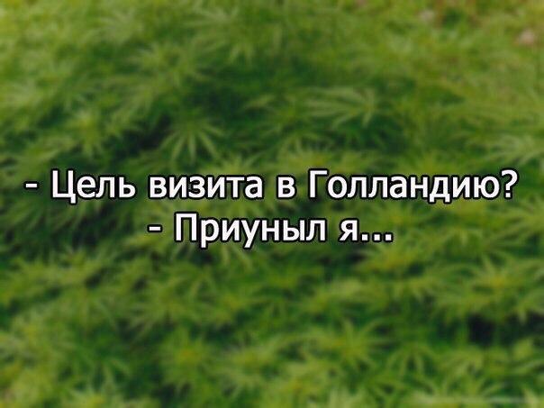 U-UXr_94ou4.jpg