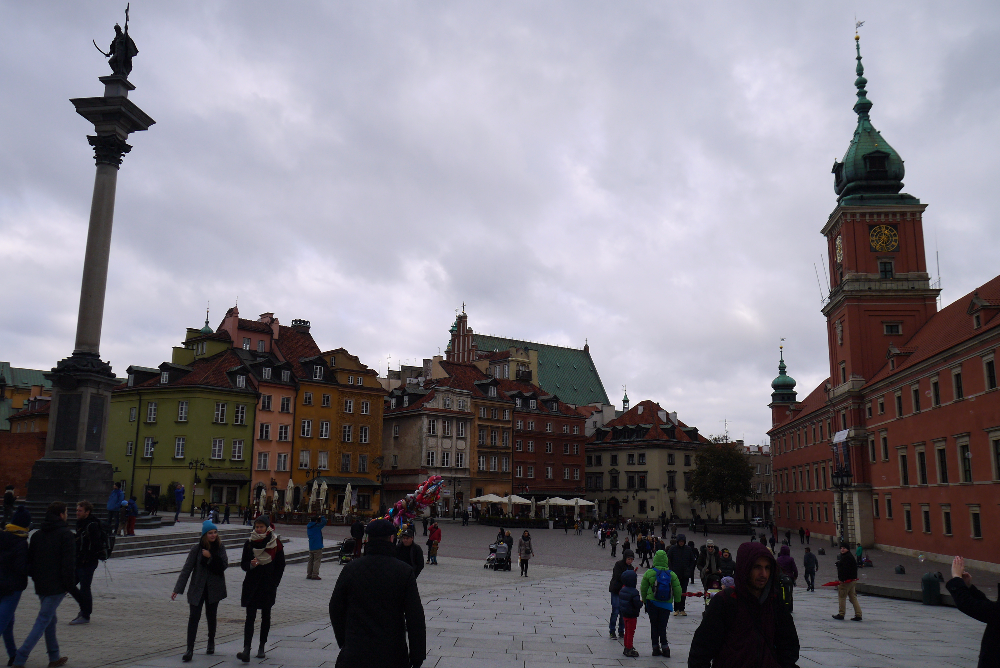 P1140317.JPG