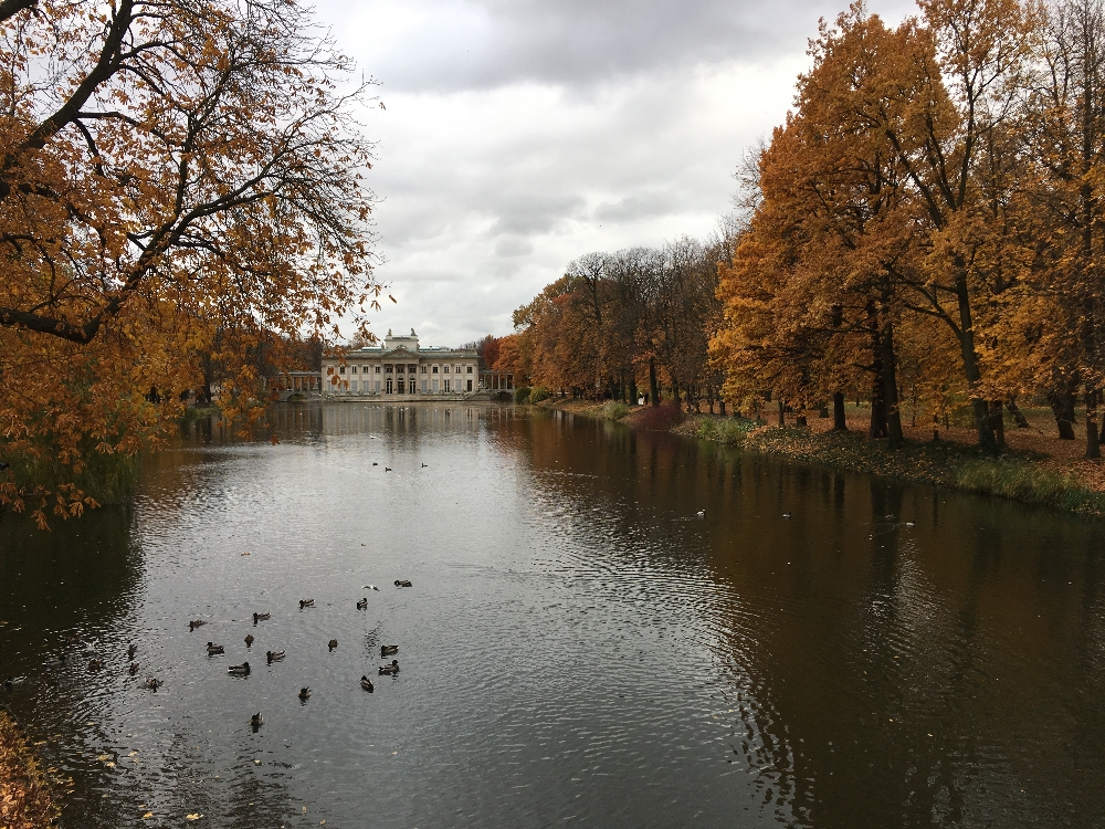 2016.10.30_13.21.47.JPG