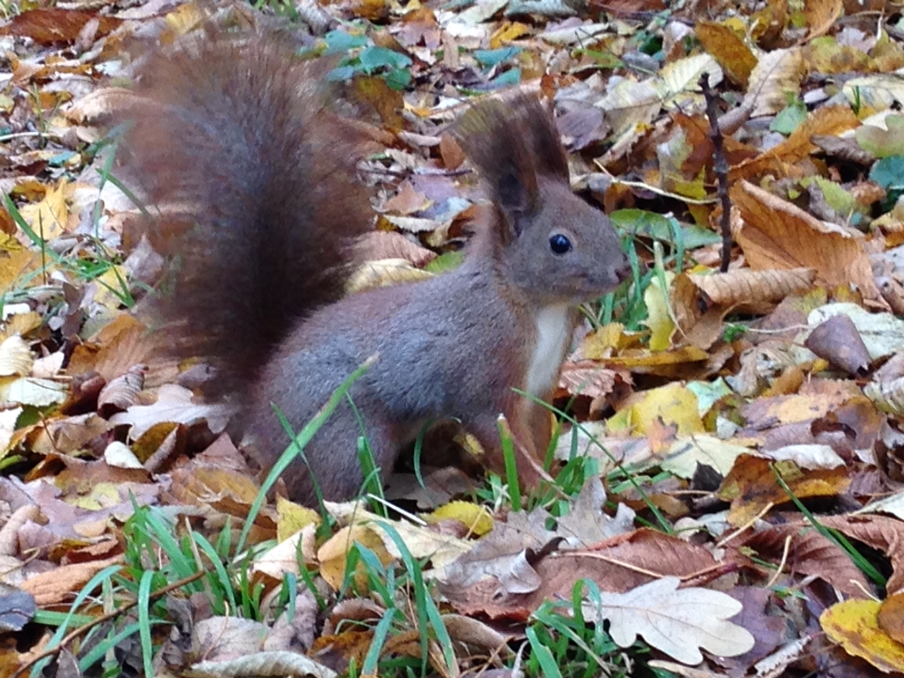 2016.10.30_13.30.44.JPG