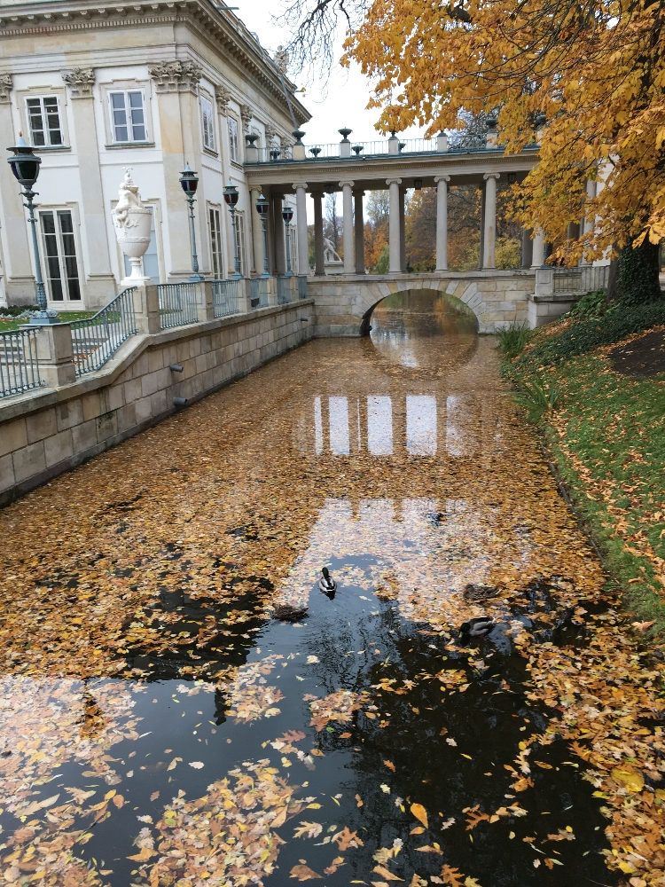 2016.10.30_13.41.54.JPG