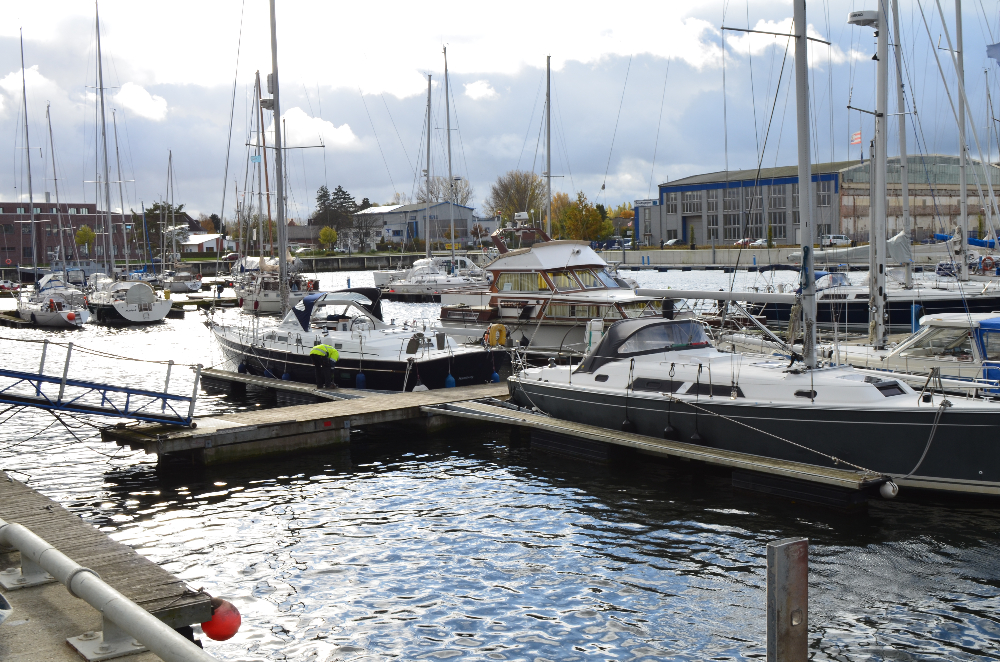 DSC_0145.JPG