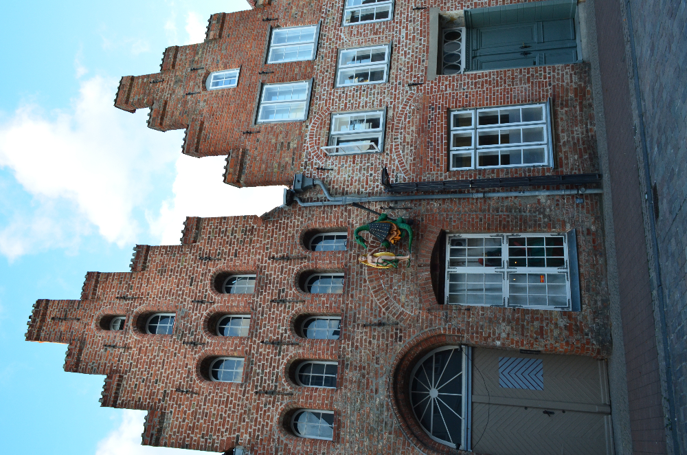 DSC_0196.JPG