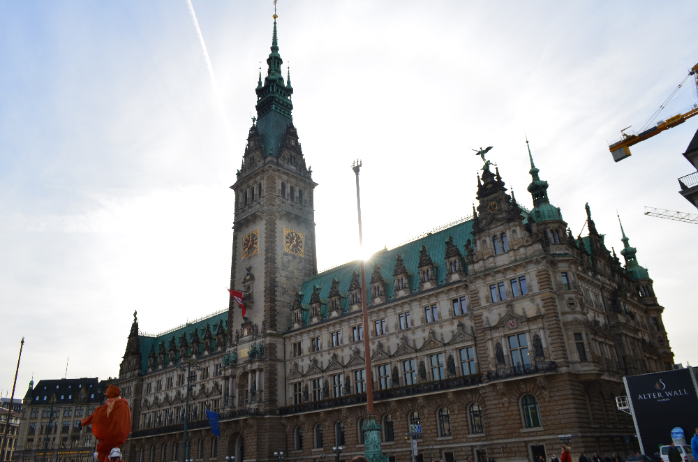 DSC_0233.JPG