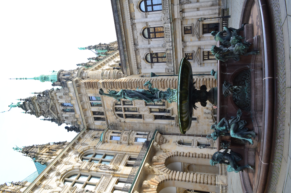 DSC_0241.JPG