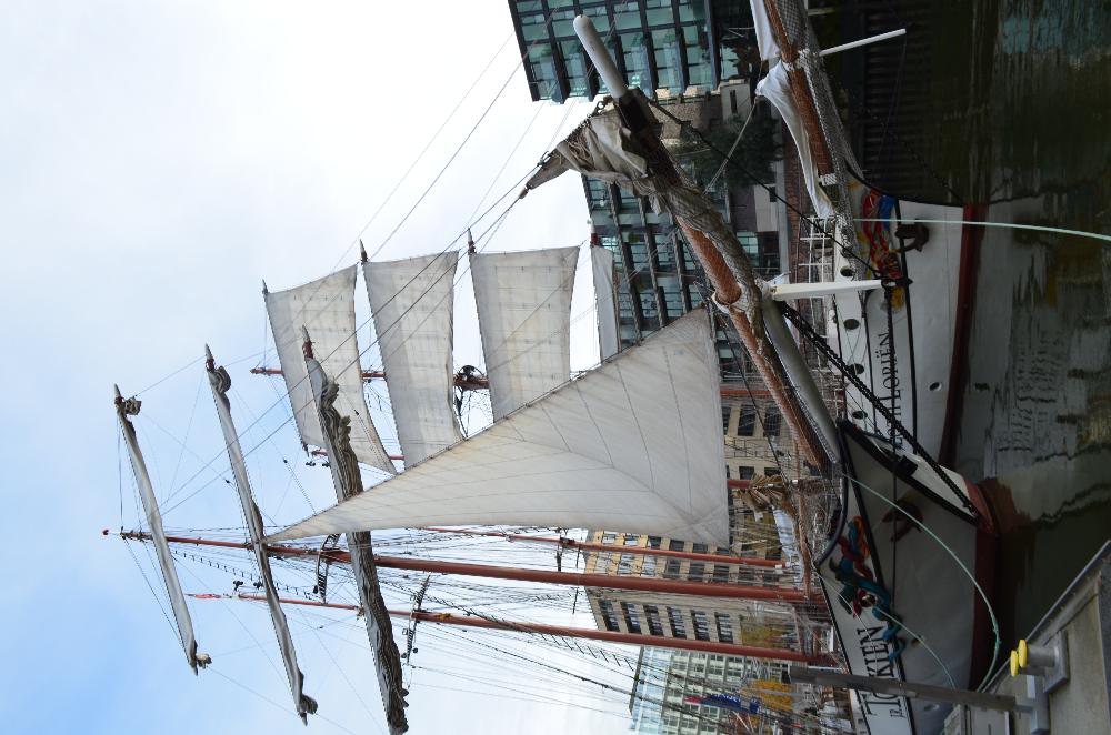 DSC_0265.JPG