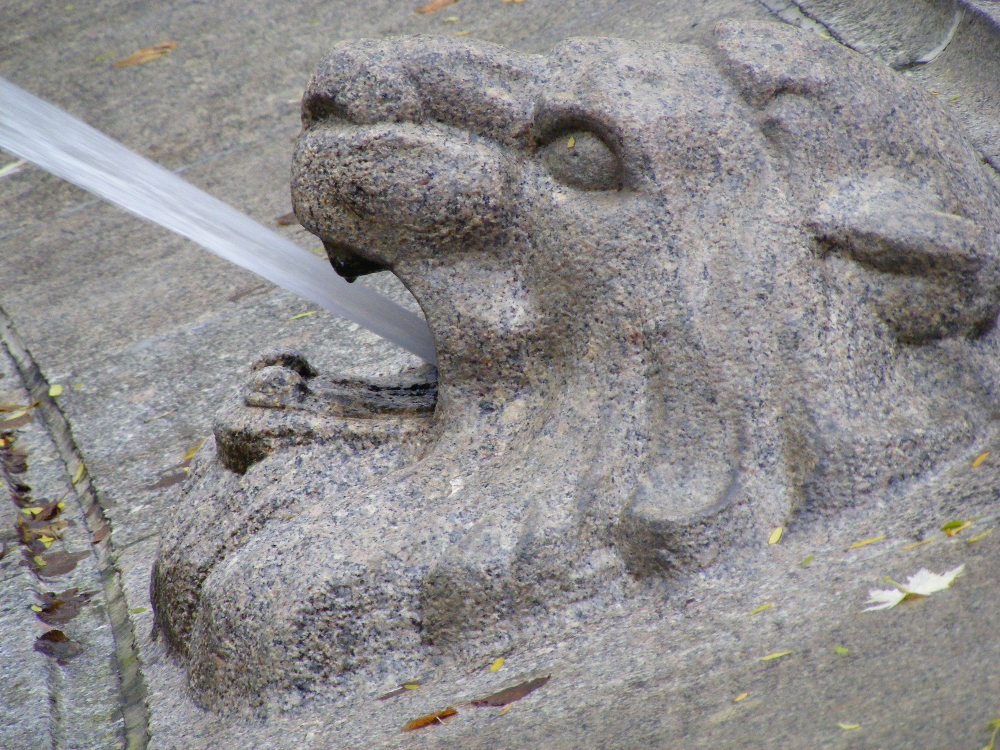 DSCF0609.JPG