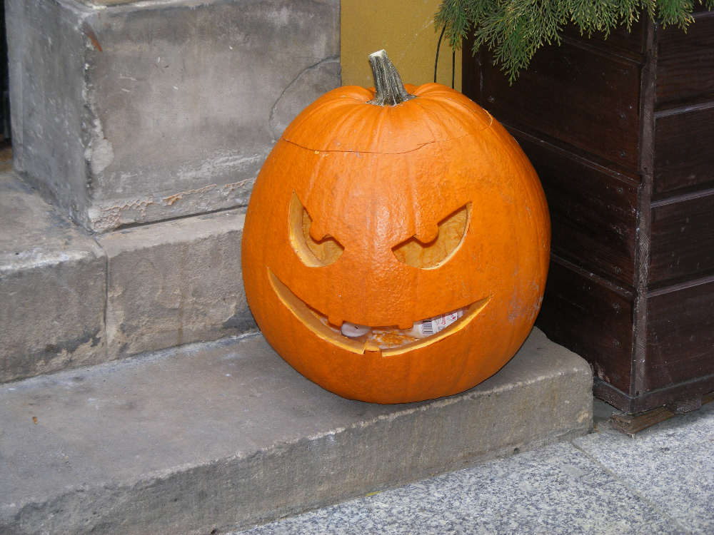 DSCF0645.JPG