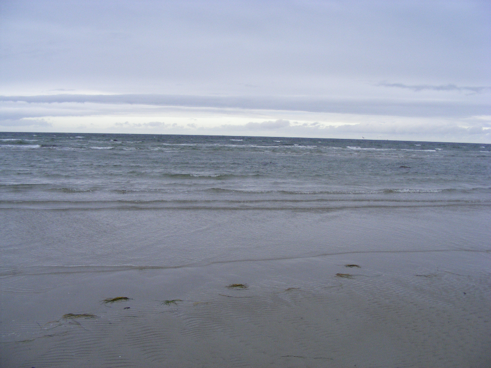 DSCF0751.JPG