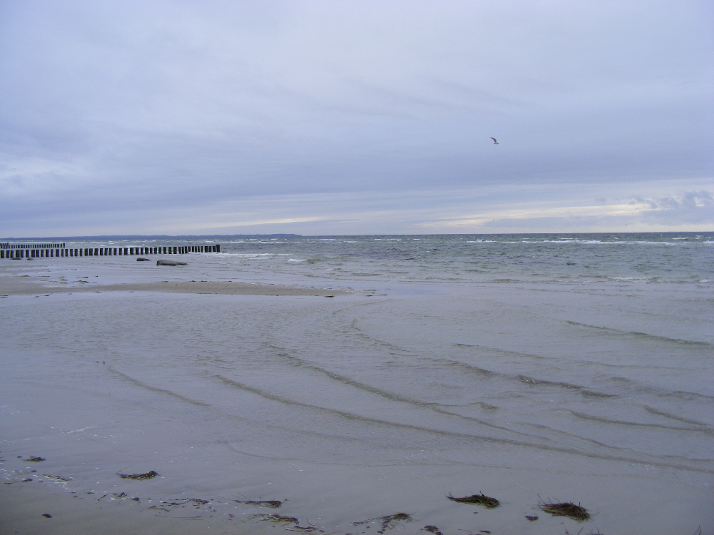 DSCF0770.JPG