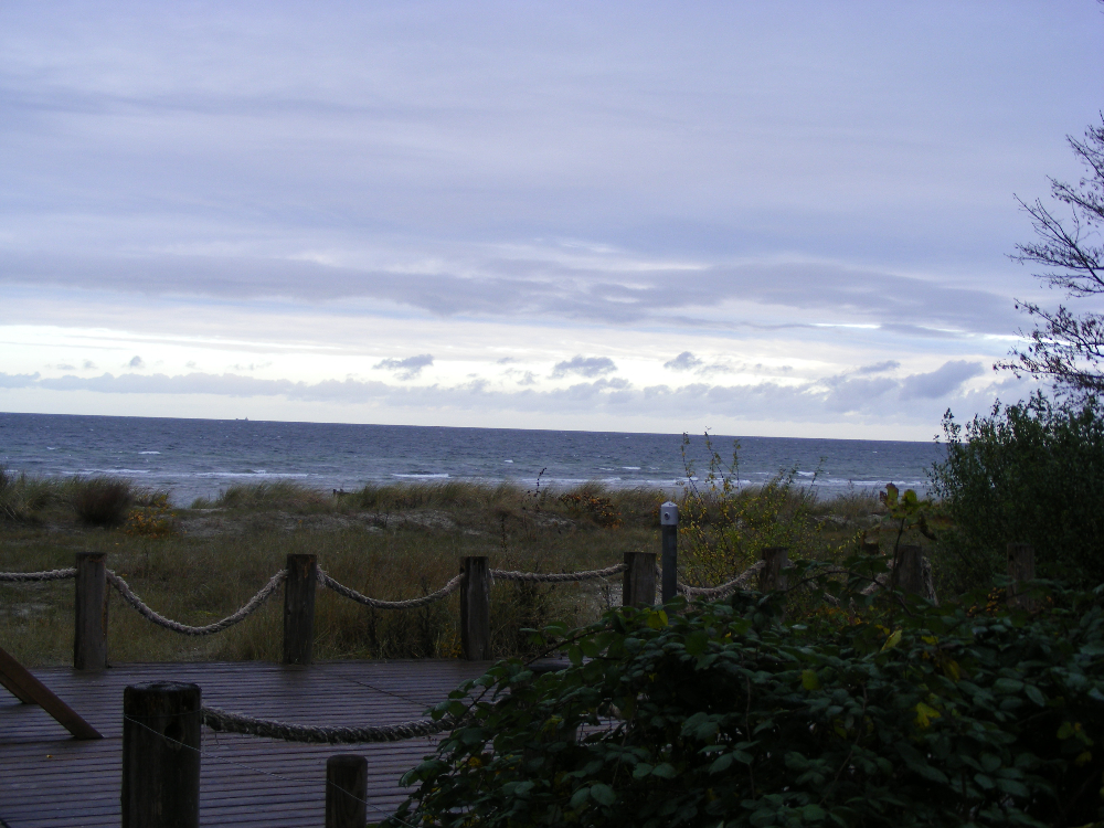 DSCF0773.JPG