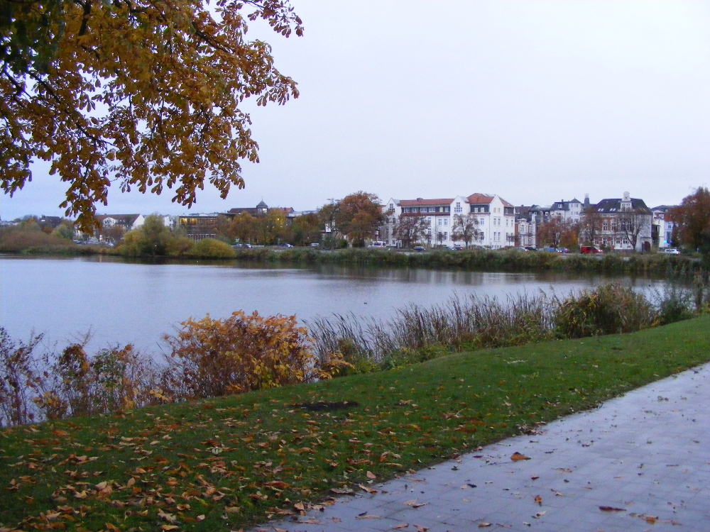 DSCF0775.JPG