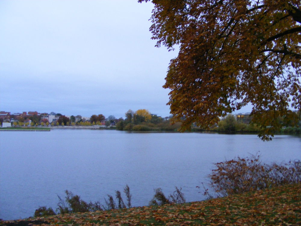 DSCF0778.JPG