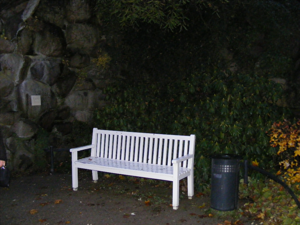 DSCF0839.JPG