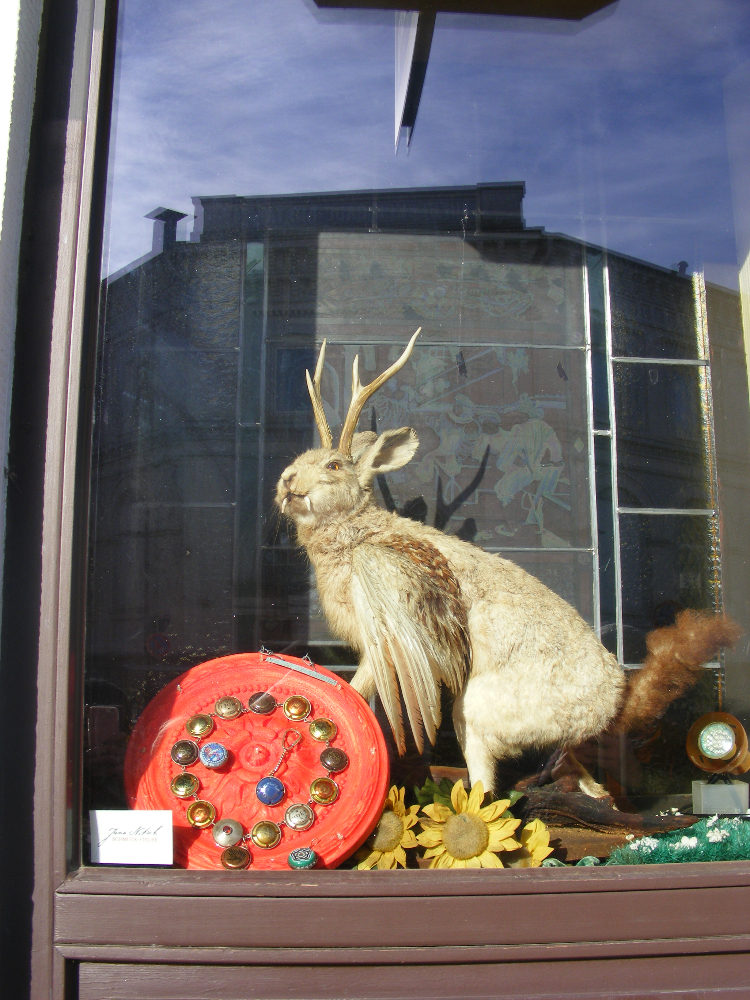 DSCF1023.JPG