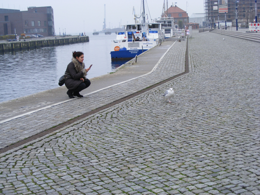 DSCF0706.JPG