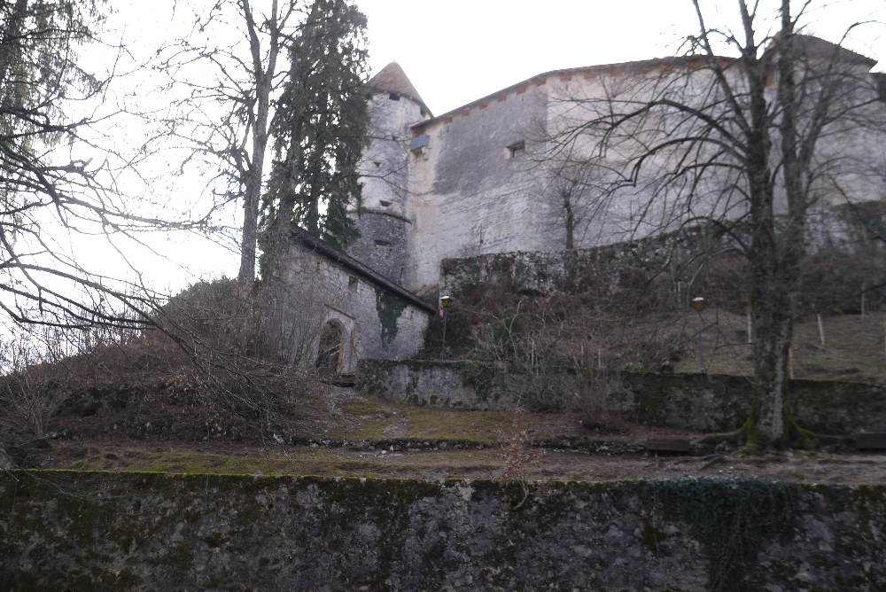 P1140810.JPG
