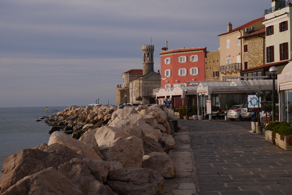 P1140949.JPG