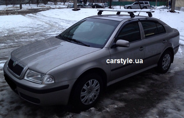 install-skoda-octavia-amos-beta-dynamic-4.jpg