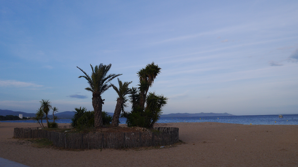 P1050835.JPG
