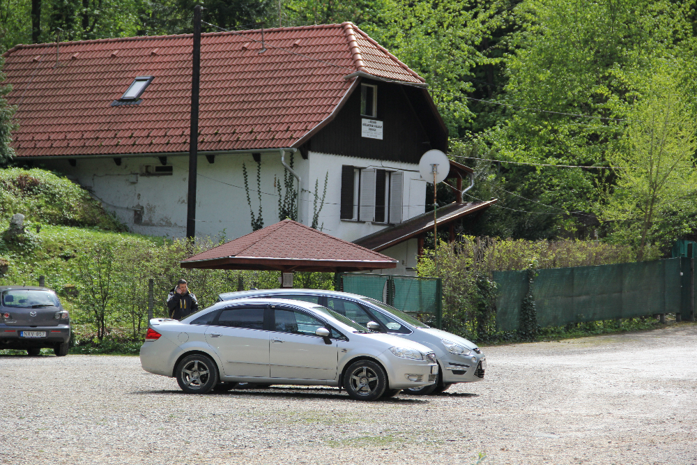 19.JPG
