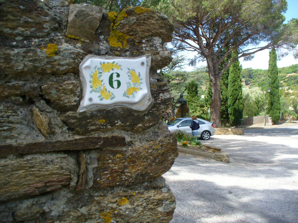 374.JPG