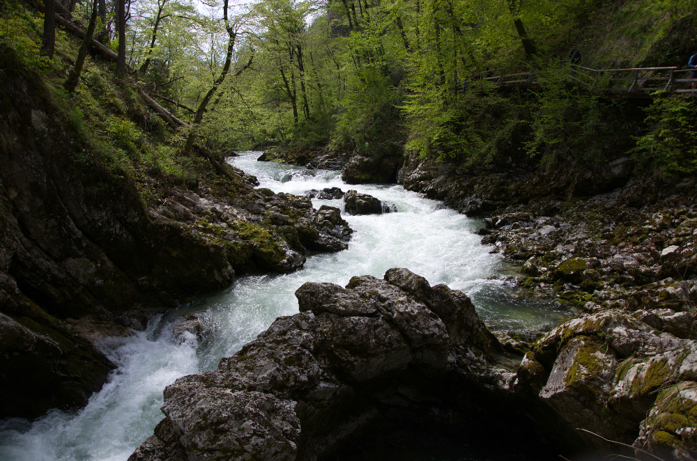 DSC_5519.jpg
