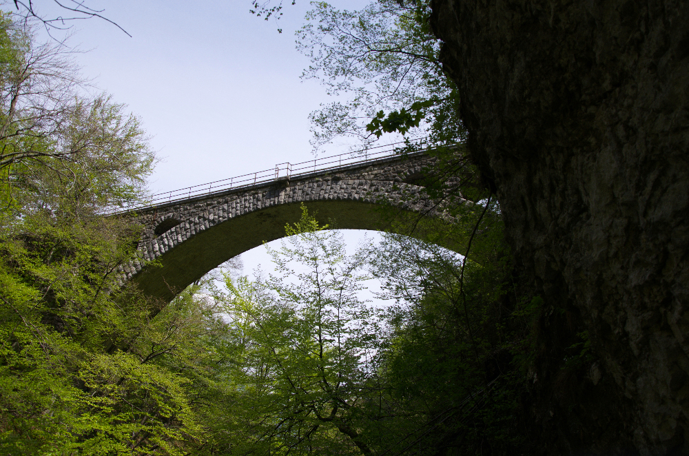 DSC_5534.jpg
