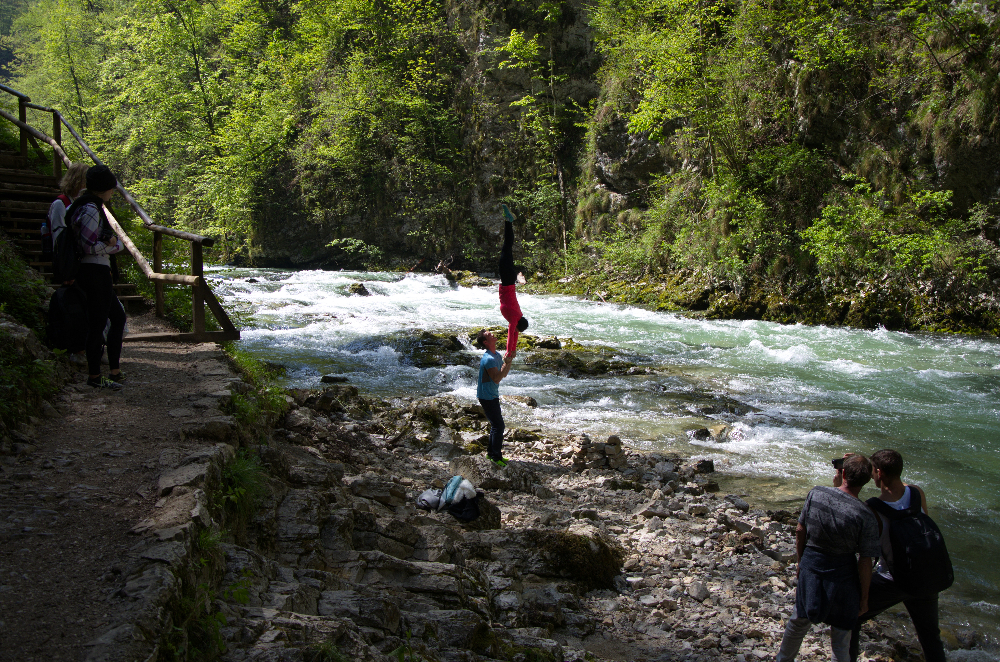 DSC_5555.jpg