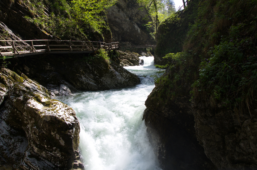 DSC_5573.jpg
