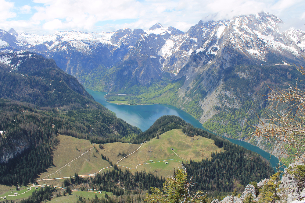 IMG_9896.JPG