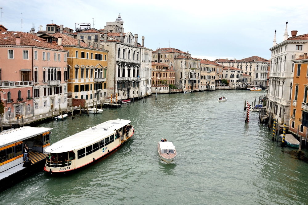 _DSC0508.jpg