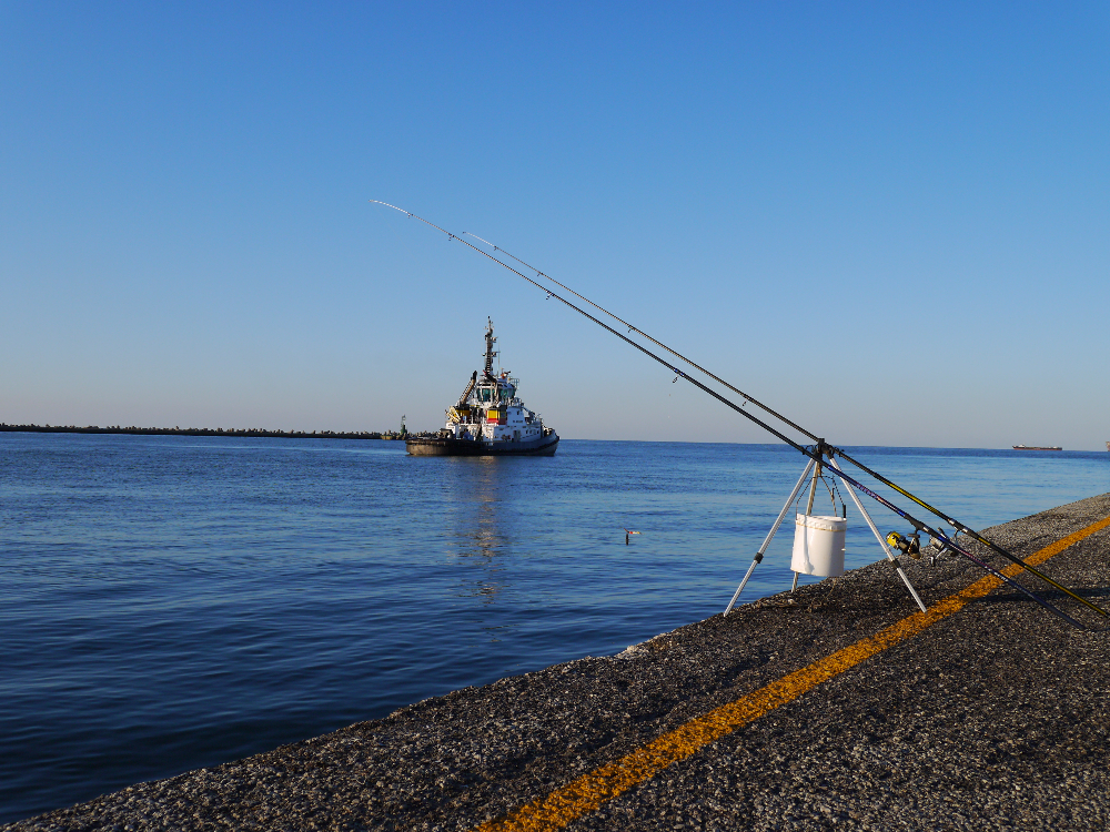 P1010815.JPG