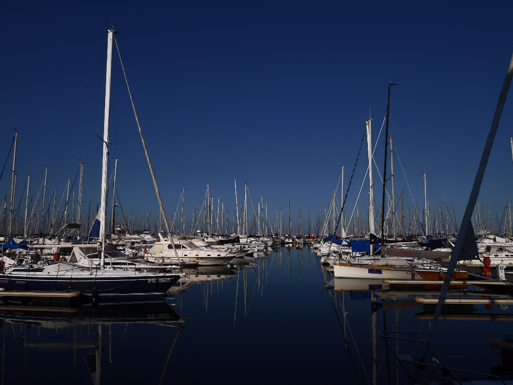P1010780.JPG